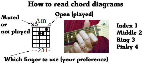 Beginner Guitar Lesson, D Chord Variations, by Guitar Control