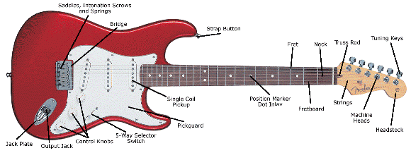 electric-guitars-for-beginners_guitar.gif
