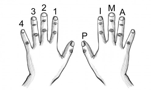 pima 1 2 3 4