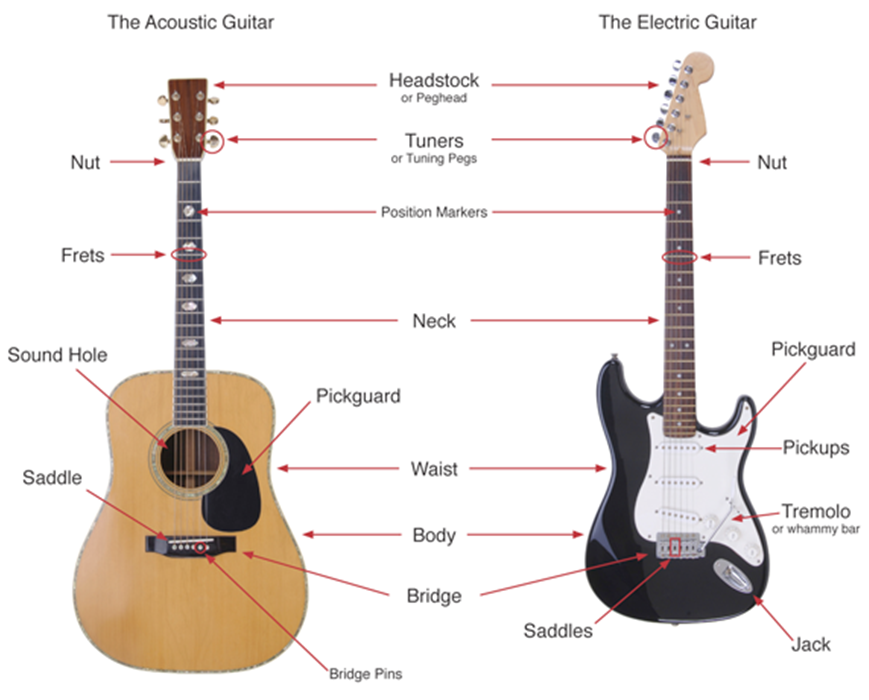 electric guitar basics